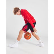 Detailed information about the product Jordan NBA Chicago Bulls Shorts Junior