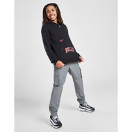 Detailed information about the product Jordan NBA Chicago Bulls Statement Pullover Hoodie Junior