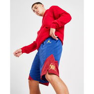 Detailed information about the product Jordan NBA Denver Nuggets Swingman Shorts