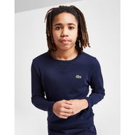 Detailed information about the product Lacoste Core Sweatshirt Junior