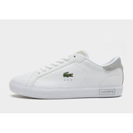 Detailed information about the product Lacoste Powercourt