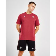 Detailed information about the product Macron Wales Rugby Union 2023/24 Bermuda Shorts.