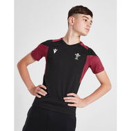 Detailed information about the product Macron Wales Rugby Union 2023/24 Poly T-Shirt Junior