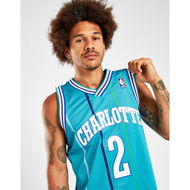 Detailed information about the product Mitchell & Ness Charlotte Hornets Johnson Jersey.
