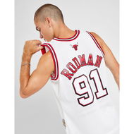 Detailed information about the product Mitchell & Ness Chicago Bulls Dennis Rodman Jersey