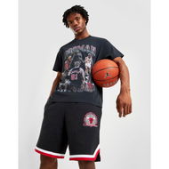 Detailed information about the product Mitchell & Ness Chicago Bulls Shorts.