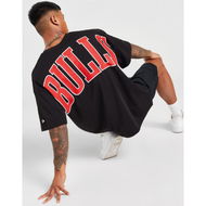 Detailed information about the product New Era NBA Chiacgo Bulls Infill Logo T-Shirt