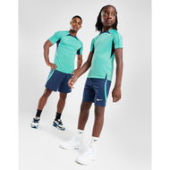 Detailed information about the product Nike Academy 23 Shorts Junior