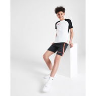 Detailed information about the product Nike Academy 23 Shorts Junior