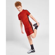 Detailed information about the product Nike Academy 23 Shorts Junior