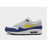 Detailed information about the product Nike Air Max 1 Juniors