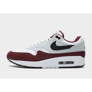 Detailed information about the product Nike Air Max 1