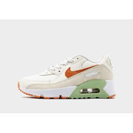 Detailed information about the product Nike Air Max 90 LTR Childrens