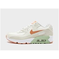 Detailed information about the product Nike Air Max 90 LTR Juniors