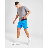 Detailed information about the product Nike Air Max Performance Shorts