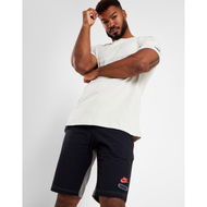 Detailed information about the product Nike Air Max Shorts