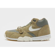 Detailed information about the product Nike Air Trainer 1