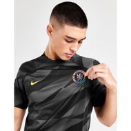 Detailed information about the product Nike Chelsea FC 2023/24 Goalkeeper Home Shirt.