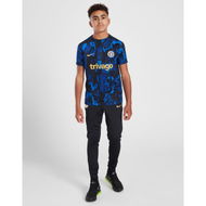 Detailed information about the product Nike Chelsea FC Academy Pre Match Top Junior