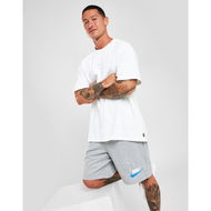 Detailed information about the product Nike Club Shorts