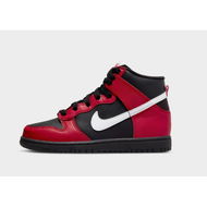 Detailed information about the product Nike Dunk High Children's