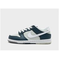 Detailed information about the product Nike Dunk Low Childrens