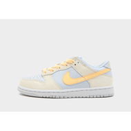 Detailed information about the product Nike Dunk Low Childrens