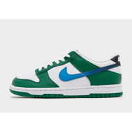 Detailed information about the product Nike Dunk Low Junior's