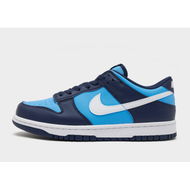 Detailed information about the product Nike Dunk Low Junior's