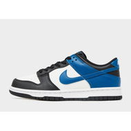 Detailed information about the product Nike Dunk Low Juniors