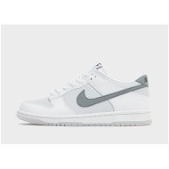 Detailed information about the product Nike Dunk Low Junior's