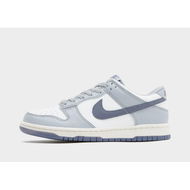 Detailed information about the product Nike Dunk Low Junior's