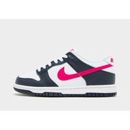 Detailed information about the product Nike Dunk Low Juniors