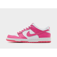 Detailed information about the product Nike Dunk Low Junior's