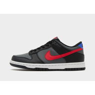 Detailed information about the product Nike Dunk Low Retro Junior's