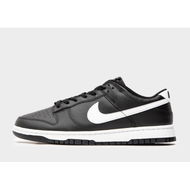 Detailed information about the product Nike Dunk Low Retro 