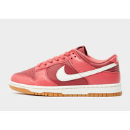 Detailed information about the product Nike Dunk Low Womens