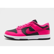 Detailed information about the product Nike Dunk Low Womens