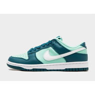 Detailed information about the product Nike Dunk Low Womens