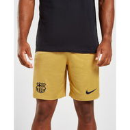 Detailed information about the product Nike FC Barcelona 2022/23 Away Shorts.