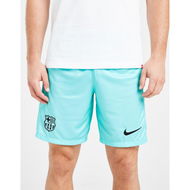 Detailed information about the product Nike FC Barcelona 2023/24 Third Shorts.
