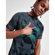 Detailed information about the product Nike FC Barcelona Academy Pre Match Shirt