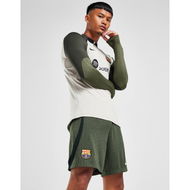 Detailed information about the product Nike FC Barcelona Strike Shorts