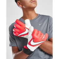 Detailed information about the product Nike Goalkeeper Vapor Grip3 Gloves