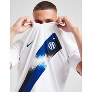 Detailed information about the product Nike Inter Milan 2023/24 Away Shirt