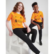 Detailed information about the product Nike Liverpool FC 2023/24 Goalkeeper Away Shirt Junior.