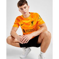 Detailed information about the product Nike Liverpool FC 2023/24 Goalkeeper Away Shirt.