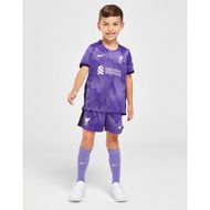 Detailed information about the product Nike Liverpool FC 2023/24 Third Kit Children.