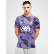 Detailed information about the product Nike Liverpool FC Academy Pre Match Shirt