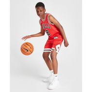 Detailed information about the product Nike NBA Chicago Bulls Shorts Junior